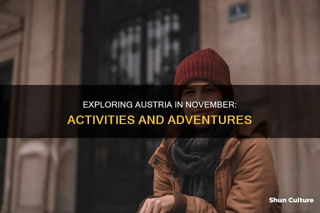 what to do in austria in november