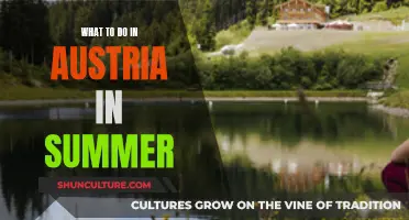 Summer Adventures: Austria's Top Attractions and Activities