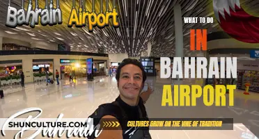 Exploring Bahrain Airport: Activities and Attractions