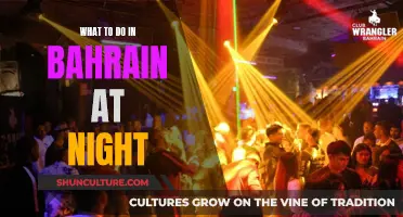 Exploring Bahrain's Nightlife: A Guide to the Kingdom's Evening Attractions