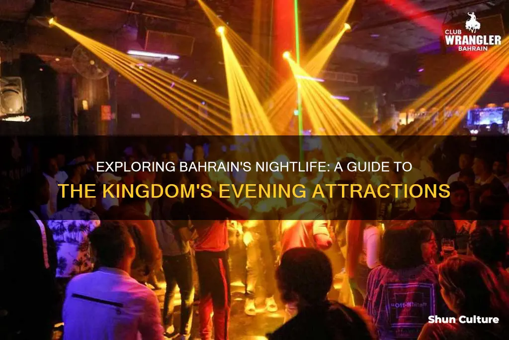 what to do in bahrain at night