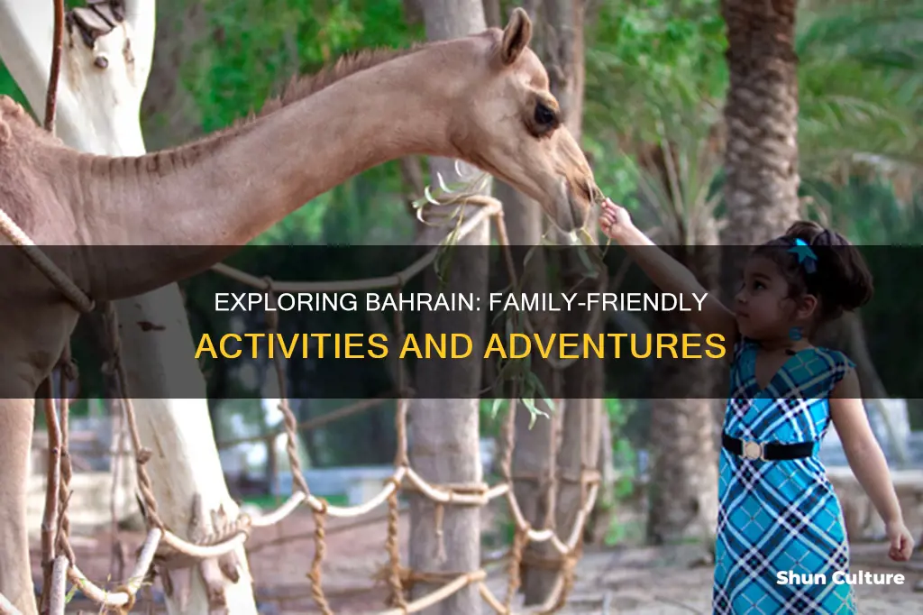 what to do in bahrain with family