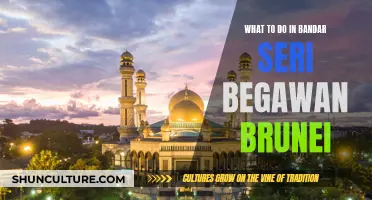 Exploring Bandar Seri Begawan: A Cultural Journey