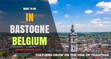 Discovering Bastogne: A Guide to Belgium's Hidden Gem