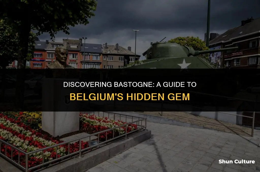 what to do in bastogne belgium