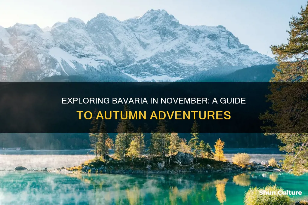 what to do in bavaria in november