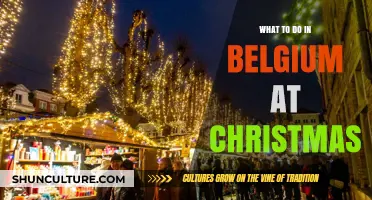 Festive Delights: Unwrapping Belgium's Christmas Magic