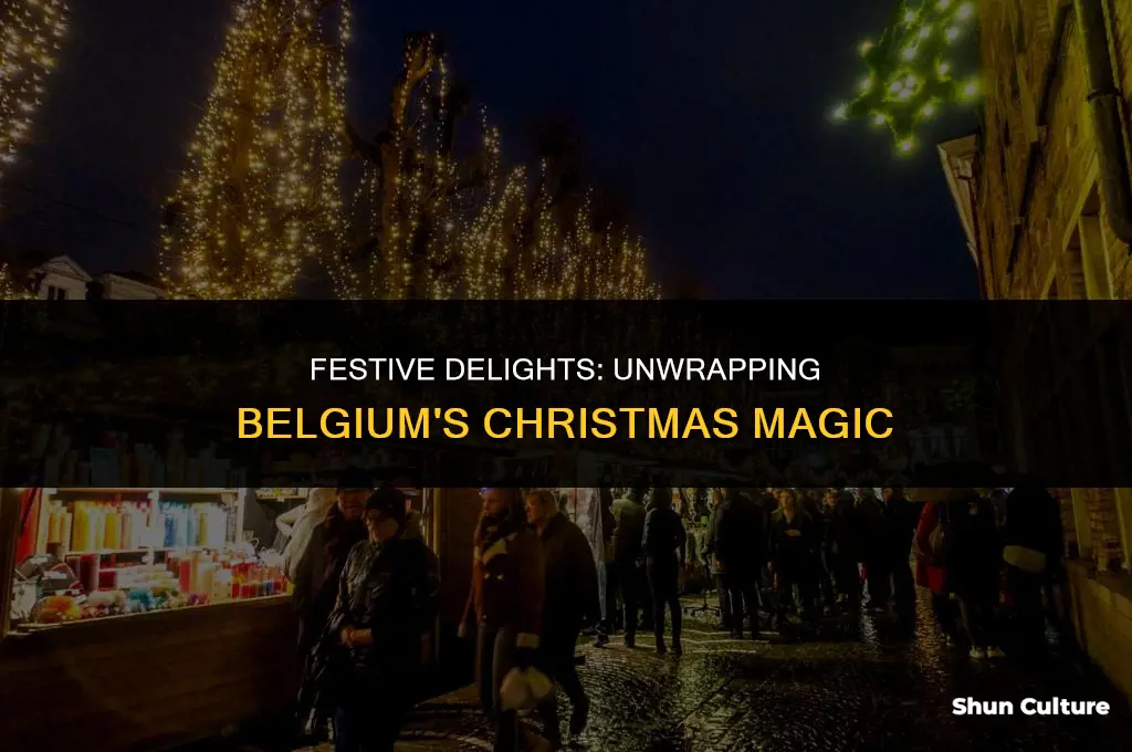 what to do in belgium at christmas
