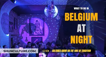Unveiling Belgium's Nighttime Charms: A Guide to Unforgettable Evenings
