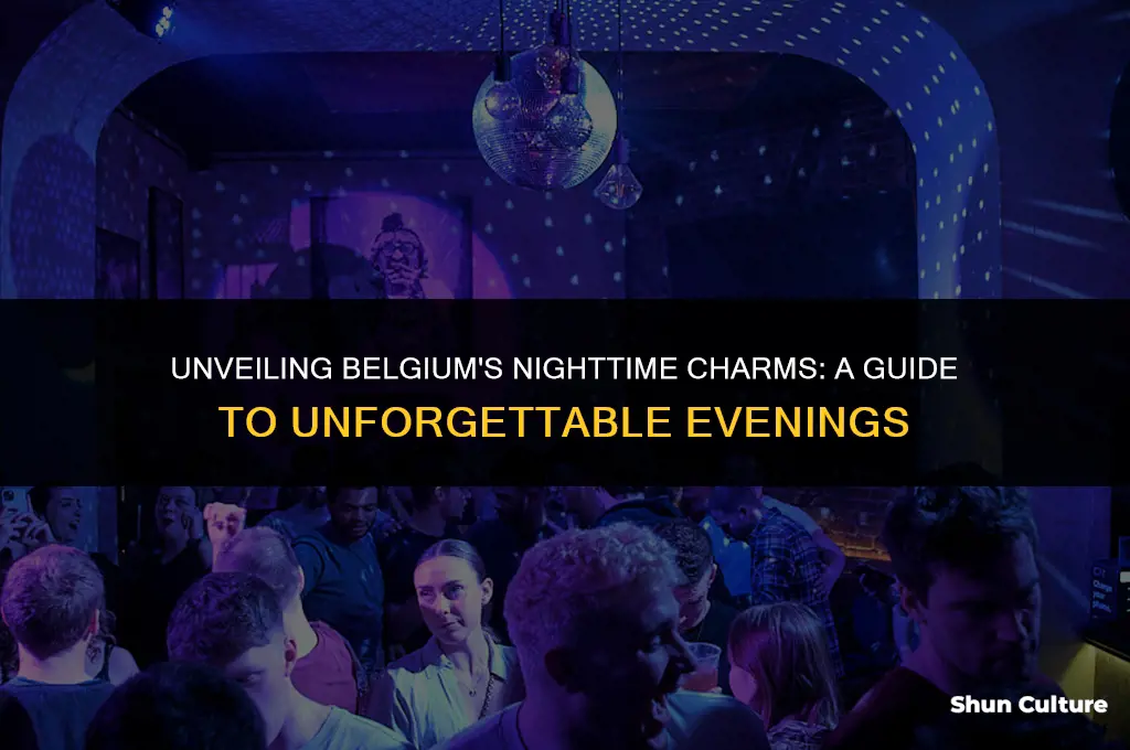 what to do in belgium at night