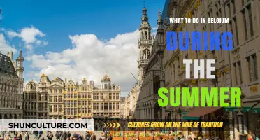 Summer Delights: Unveiling Belgium's Hidden Gems and Must-Do Activities