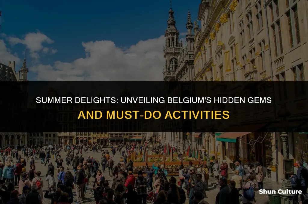 what to do in belgium during the summer
