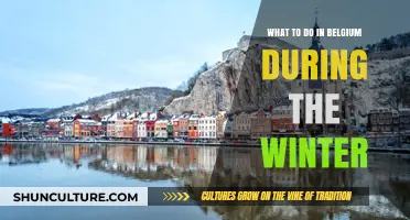 Winter Wonders: Unveiling Belgium's Magical Seasonal Delights