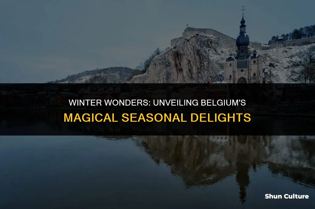 what to do in belgium during the winter