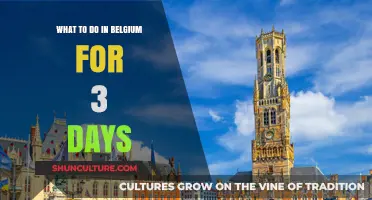 Discover Belgium: A 3-Day Itinerary for an Unforgettable Adventure
