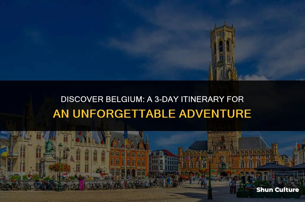 what to do in belgium for 3 days