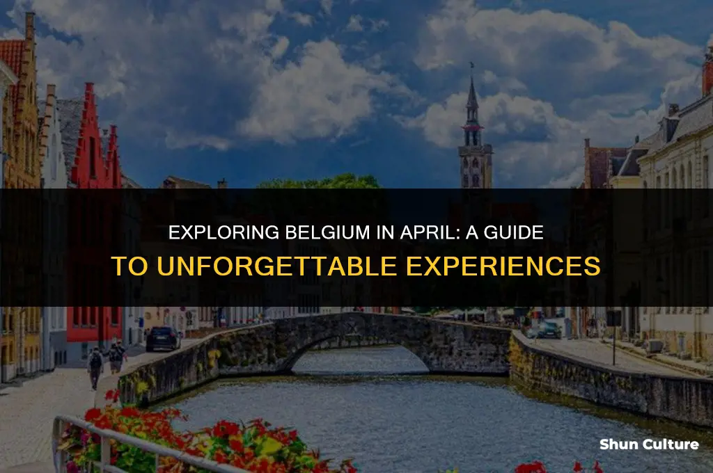 what to do in belgium in april