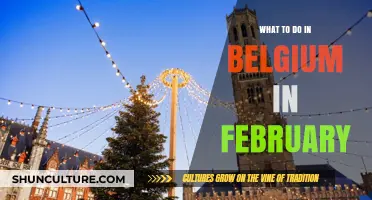 Exploring Belgium in February: Top Activities and Hidden Gems