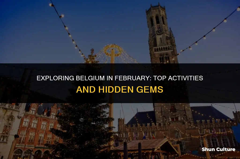 what to do in belgium in February