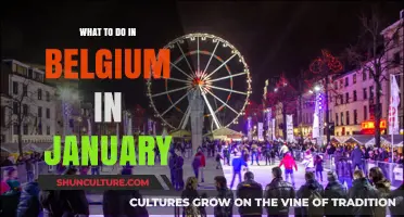 Winter Wonders: Unveiling Belgium's January Delights