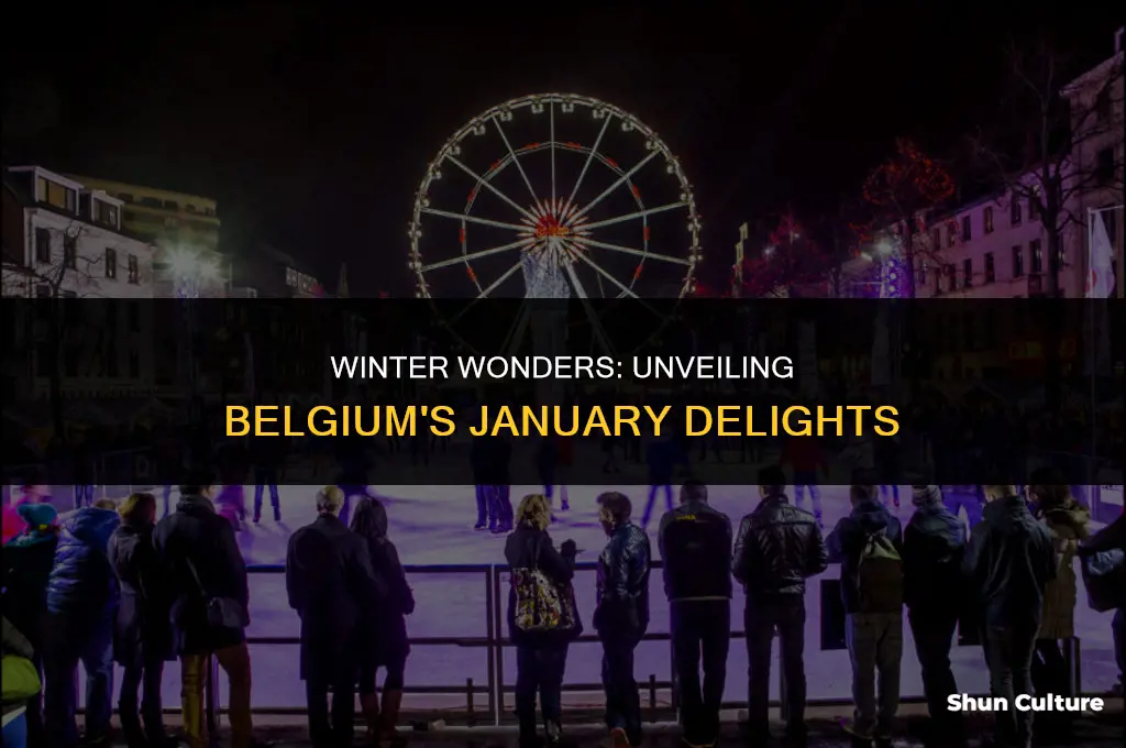 what to do in belgium in january