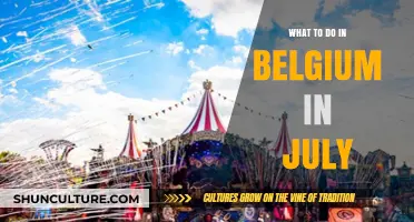 Summer Delights: Exploring Belgium's Best in July