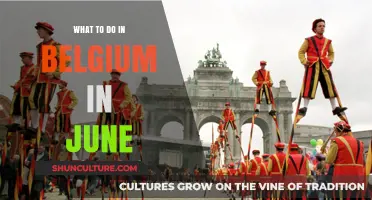 June in Belgium: Festivals, Food, and Fun Activities to Enjoy