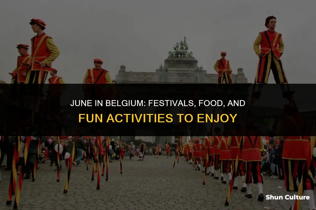 what to do in belgium in june