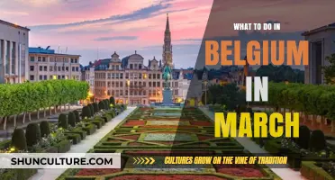 Exploring Belgium in March: Top Activities and Hidden Gems