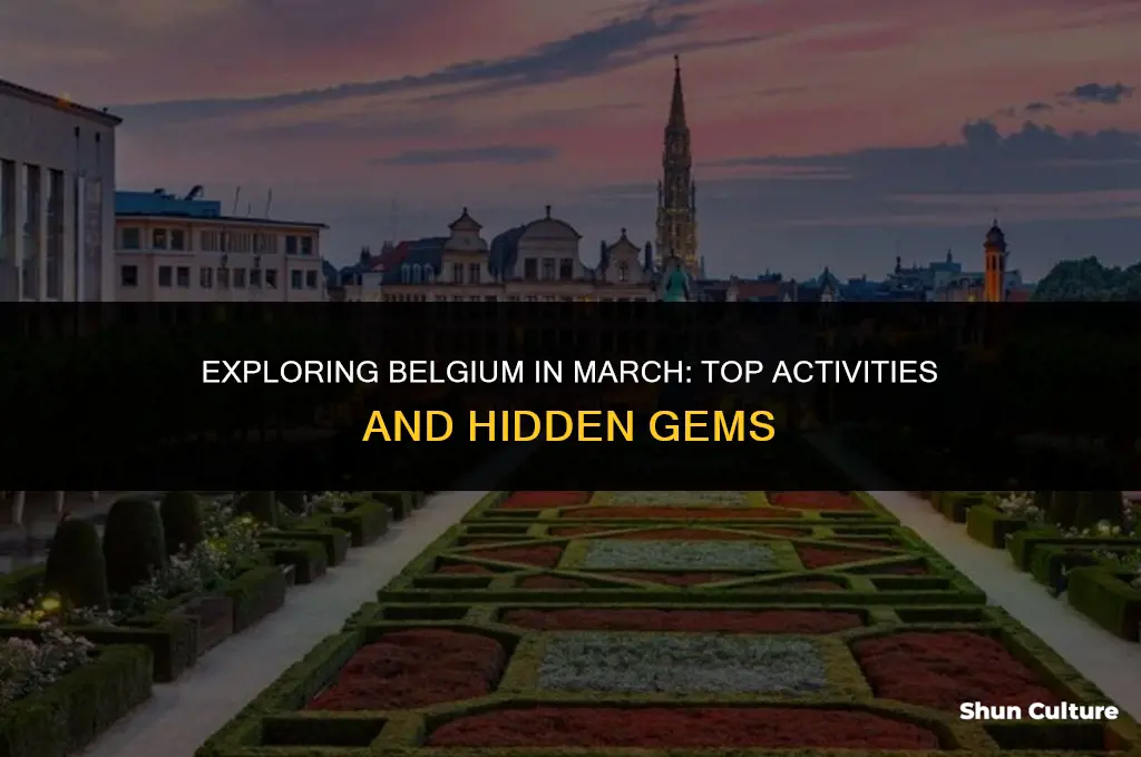 what to do in belgium in march