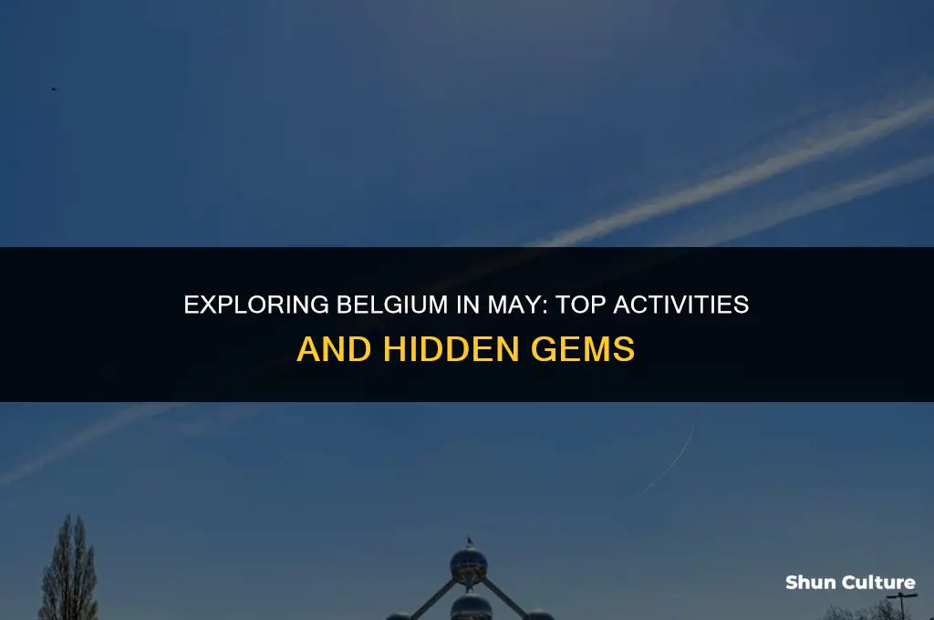 what to do in belgium in may