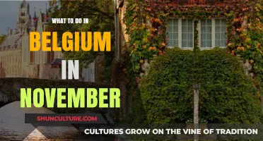 Exploring Belgium in November: Top Activities and Events