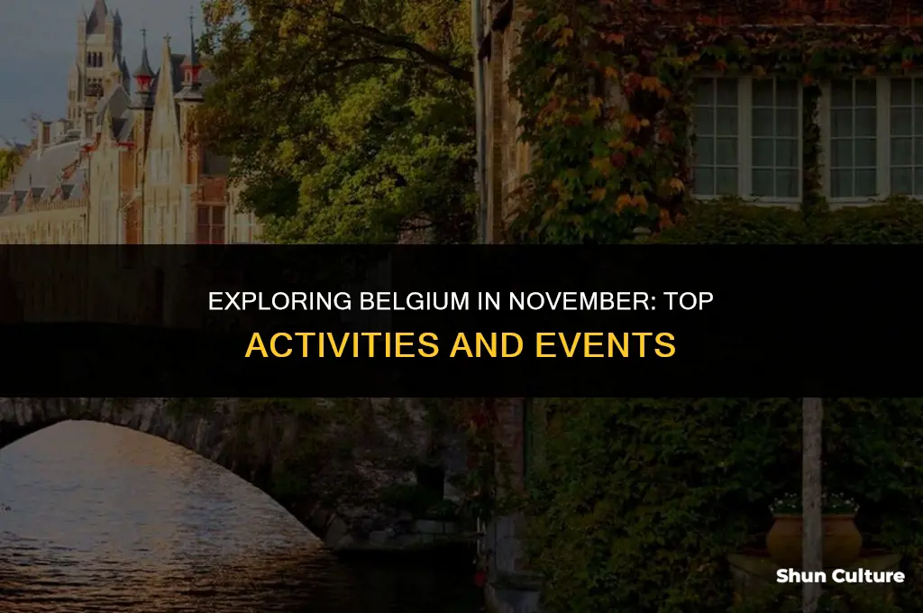 what to do in belgium in november