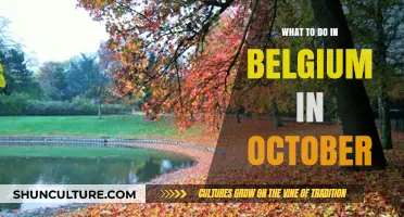 Autumn Adventures: Unveiling Belgium's October Delights
