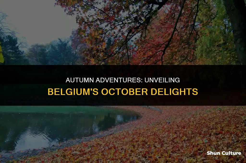 what to do in belgium in October