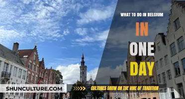 Exploring Belgium: A Perfect One-Day Itinerary
