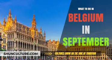 Exploring Belgium's Charms: A September Itinerary