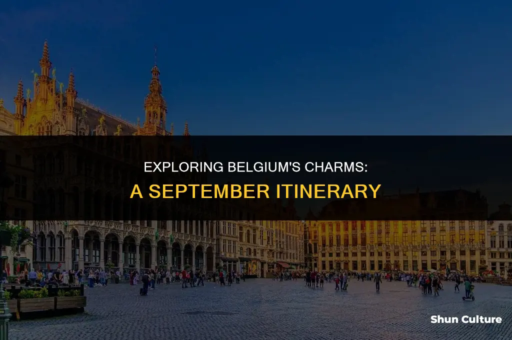 what to do in belgium in September
