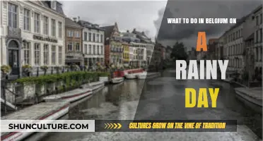 Exploring Belgium's Charm: Rainy Day Delights Await!