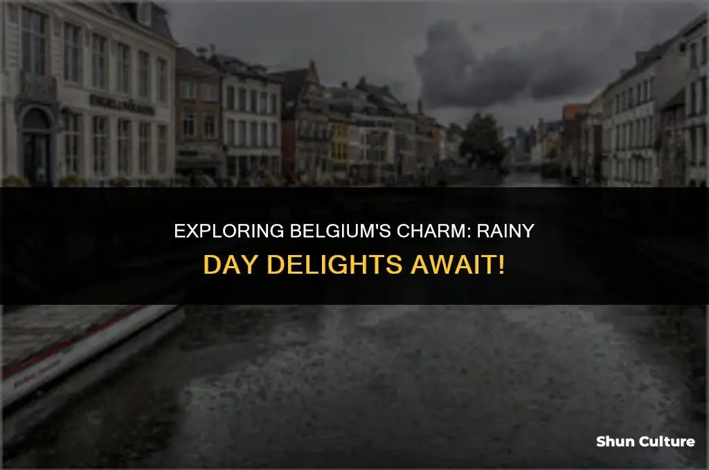 what to do in belgium on a rainy day