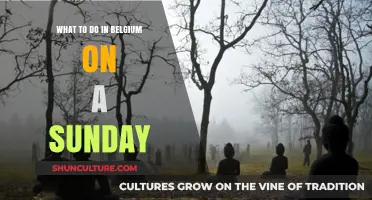 Discover Belgium's Sunday Delights: A Guide to Weekend Wonders