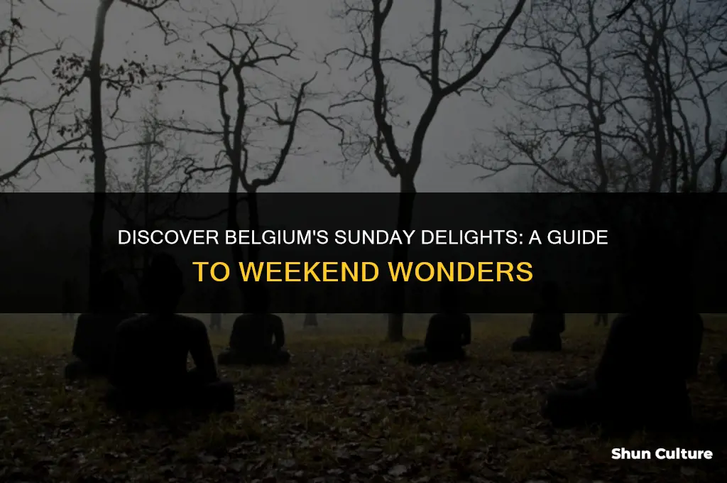 what to do in belgium on a sunday