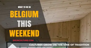 Discover Belgium: Weekend Getaway Ideas for Every Interest
