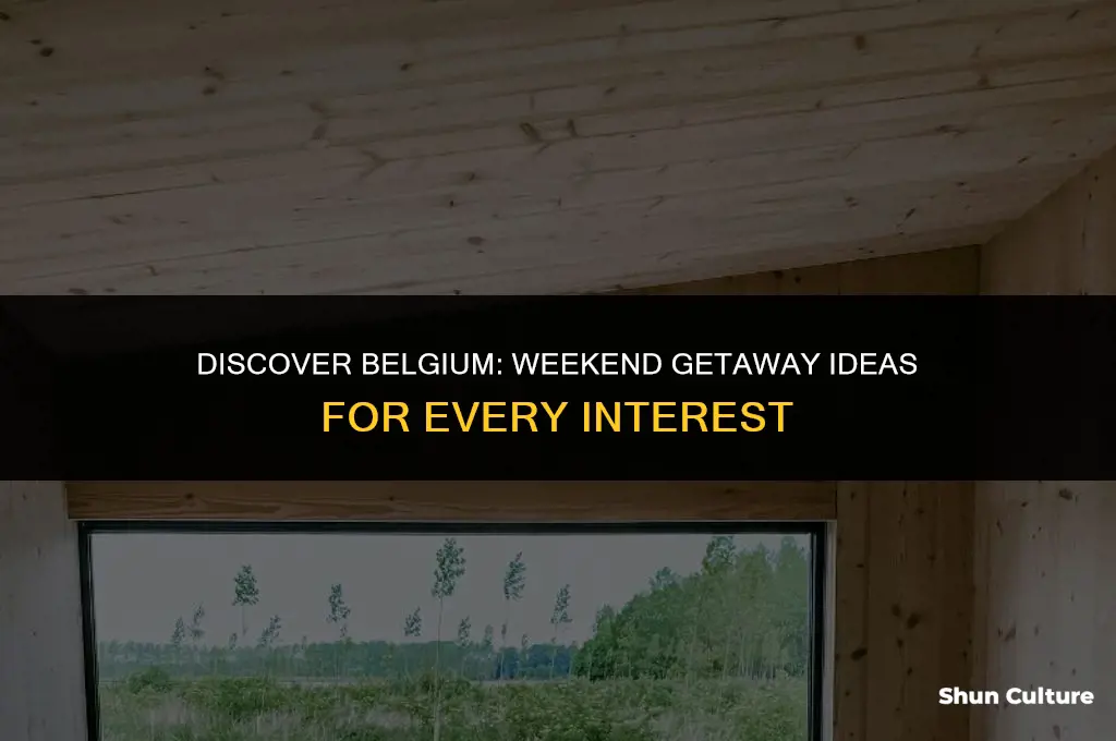 what to do in belgium this weekend