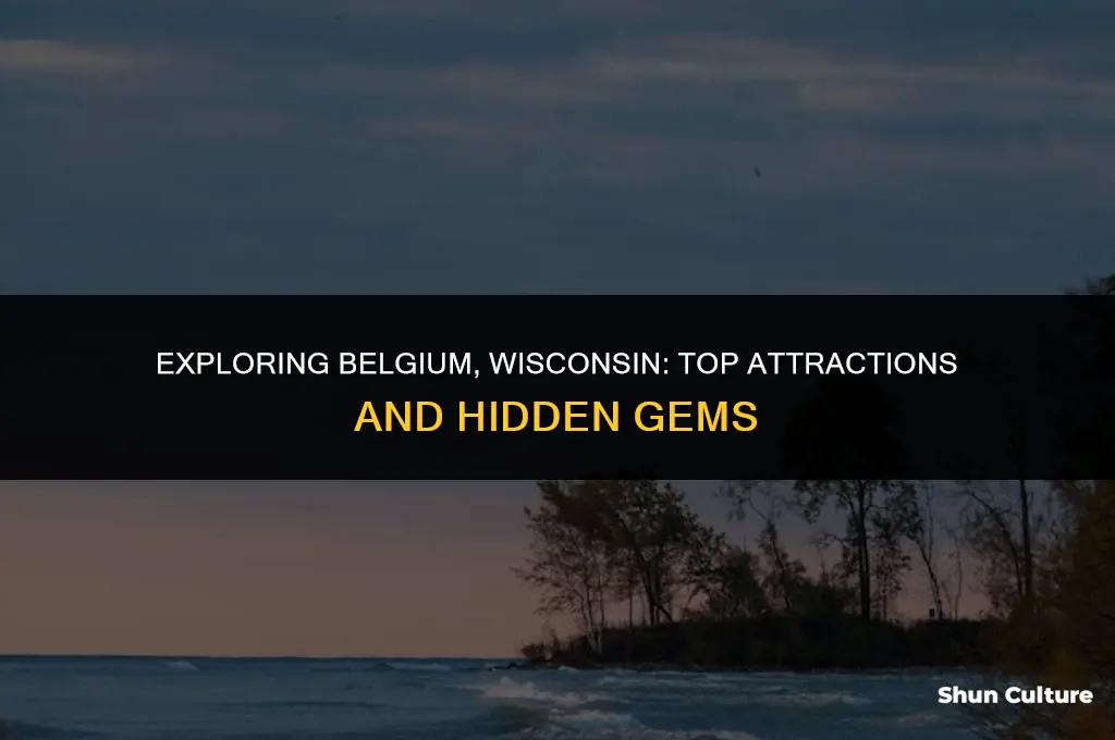 what to do in belgium wisconsin