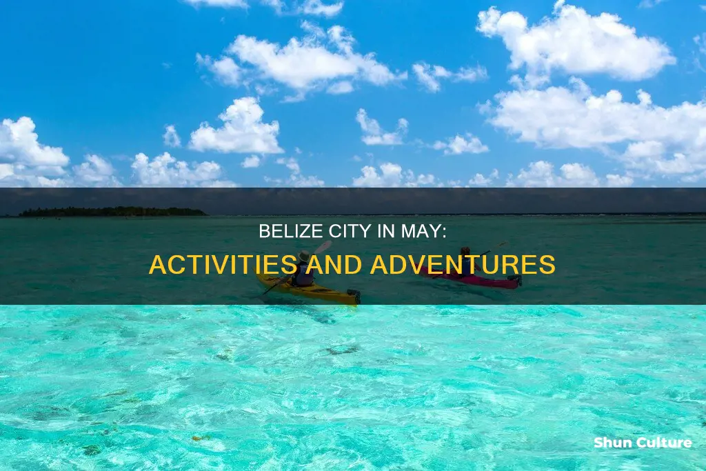 what to do in belize city in may