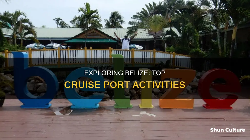 what to do in belize cruise port