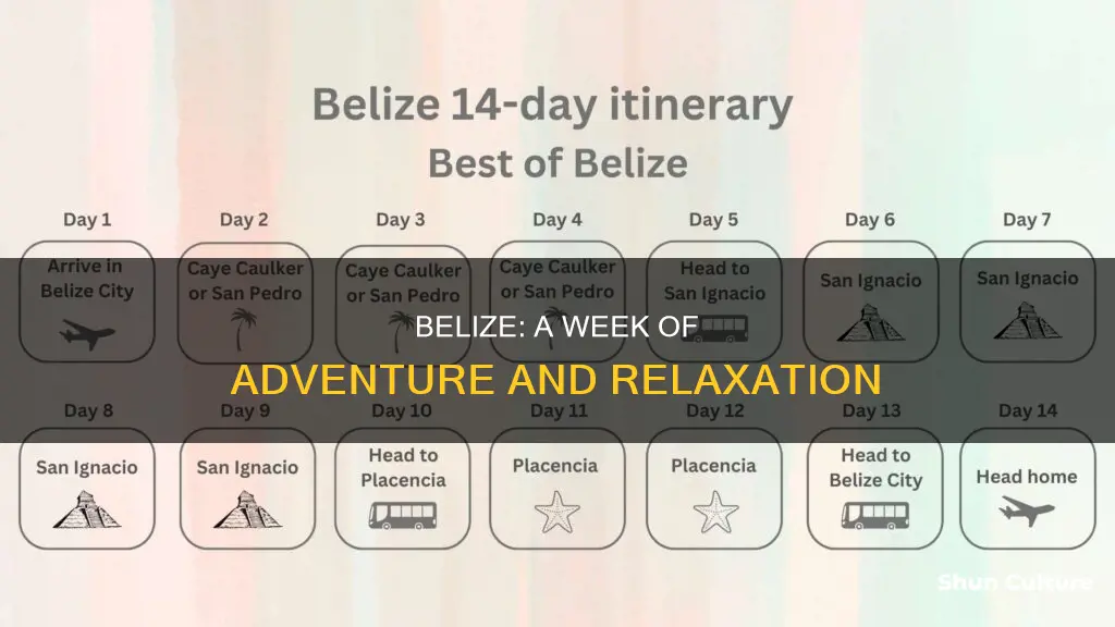 what to do in belize for a week