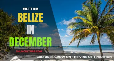 Belize's December: Adventure and Sun