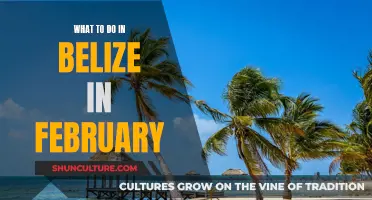 Belize's February Adventures